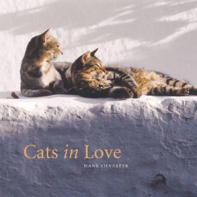 Cats in Love