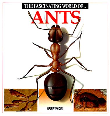 Image for The Fascinating World of Ants The Fascinating World of Ants