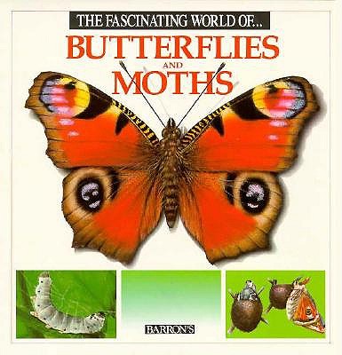 Image for The Fascinating World of Butterflies and Moths The Fascinating World of Butterflies and Moths