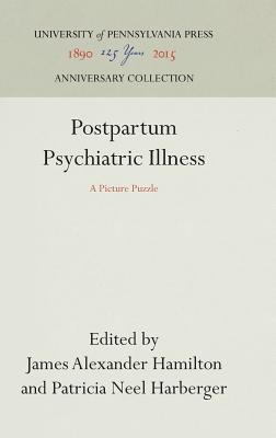 Image for Postpartum Psychiatric Illness: A Picture Puzzle (Anniversary Collection) Postpartum Psychiatric Illness: A Picture Puzzle (Anniversary Collection)