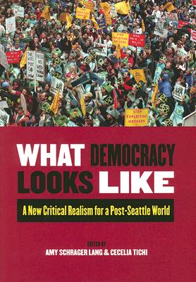 Image for What Democracy Looks Like: A New Critical Realism for a Post-Seattle World What Democracy Looks Like: A New Critical Realism for a Post-Seattle World