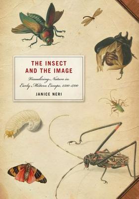 Image for The Insect and the Image: Visualizing Nature in Early Modern Europe, 1500-1700