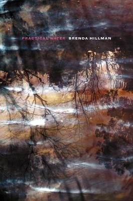Practical Water (Wesleyan Poetry Series)