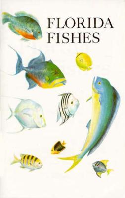 Saltwater Florida Fishes