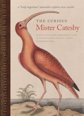 The Curious Mister Catesby a truly Ingenious Naturalist Explores New Worlds