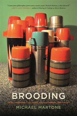 Brooding: Arias, Choruses, Lullabies, Follies, Dirges, and a Duet (Crux: The Georgia Series in Literary Nonfiction Ser.)