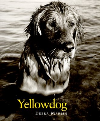 Image for Yellowdog Yellowdog