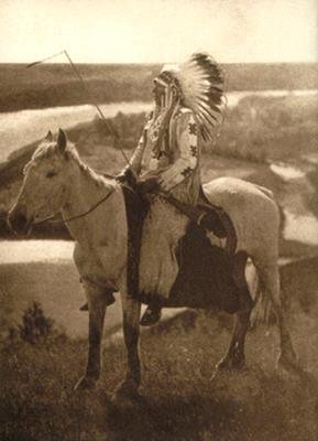 Image for Great Plains (Native Nations Series)