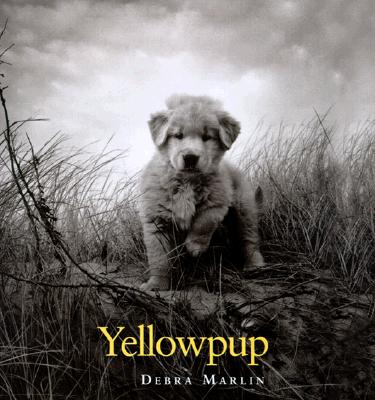 Yellowpup
