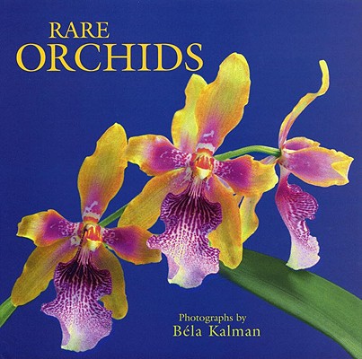 Image for Rare Orchids