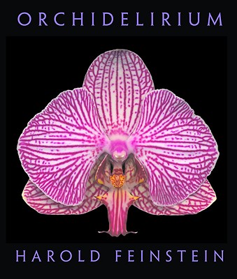 Orchidelirium