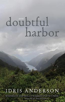 Doubtful Harbor: Poems (Hollis Summers Poetry Prize)