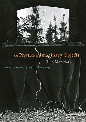 The Physics Of Imaginary Objects