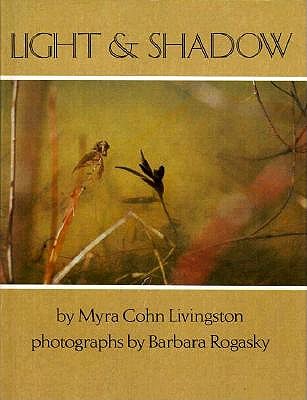Light and Shadow