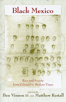 Black Mexico: Race and Society from Colonial to Modern Times (Dilogos Series)
