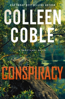 Conspiracy: A Small-Town, Second-Chance Romantic Suspense