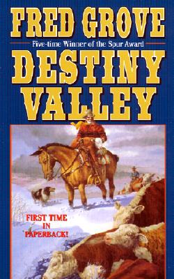 Image for DESTINY VALLEY