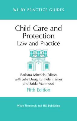 Child Care and Protection: Law and Practice (Wildy Practice Guide) (Wildy Practice Guides)