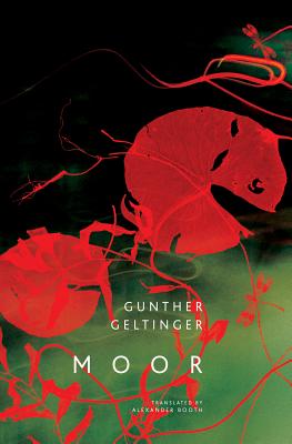 Moor (The German List)