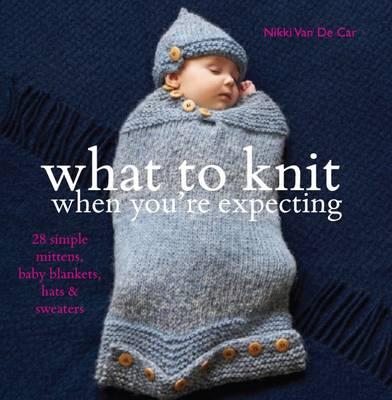 What To Knit When You're Expecting: 28 Simple Mittens, Baby Blankets, Hats & Sweaters: 28 Simple Mittens, Baby Blankets, Hats and Sweaters [Paperback] Nikki Van De Car