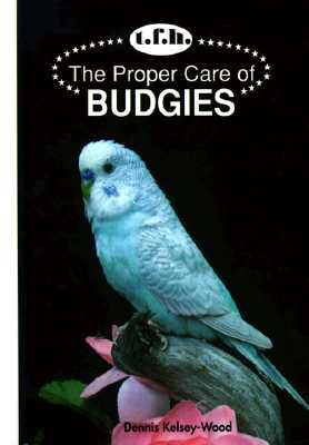 The Proper Care of Budgies