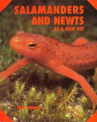 Salamanders and Newts As a New Pet