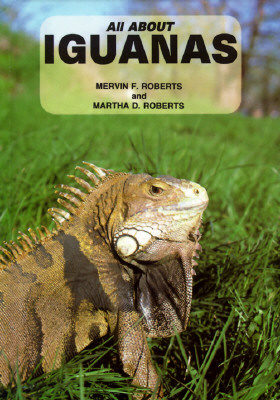Image for All About Iguanas