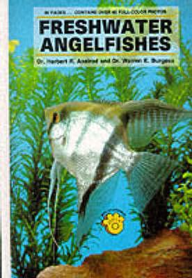 Freshwater Angel Fishes