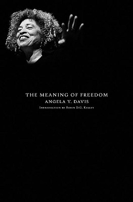 The Meaning of Freedom (City Lights Open Media)