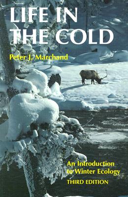 Image for Life in the Cold: An Introduction to Winter Ecology