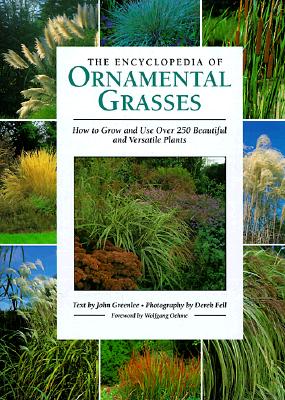 Image for The Encyclopedia of Ornamental Grasses: How to Grow and Use Over 250 Beautiful and Versatile Plants