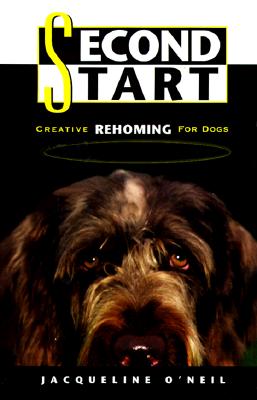 Second Start: Creative Rehoming for Dogs