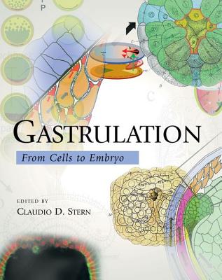 Image for Gastrulation: From Cells to Embryo