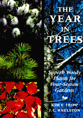 The Year In Trees