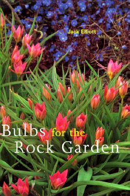 Bulbs For The Rock Garden