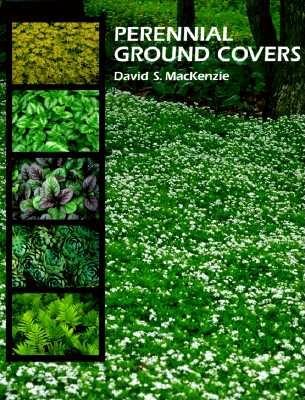 Perennial Ground Covers