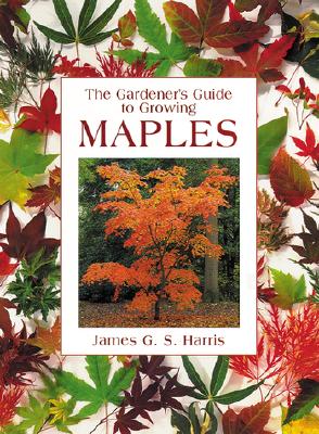 The Gardener's Guide To Growing Maples
