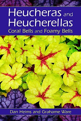 Heucheras And Heucherellas - Coral Bells And Foamy Bells