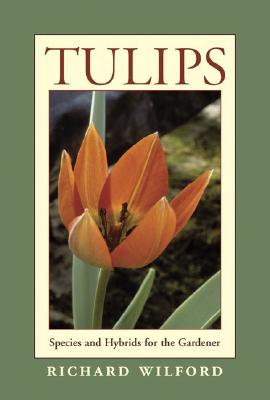 Tulips - Species And Hybrids For The Gardener