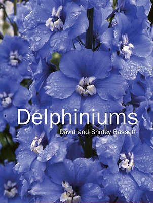 Image for Delphiniums