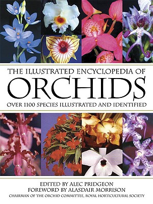THE BOOK OF ORCHIDS 世界のラン大図鑑 Amazon.co.jp: 世界のラン大図鑑 : マーク・チェイス, マーテン