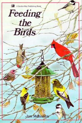 Feeding The Birds