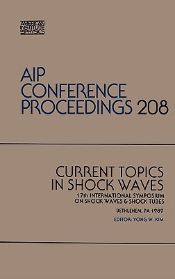 Current Topics in Shock Waves (AIP Conference Proceedings)