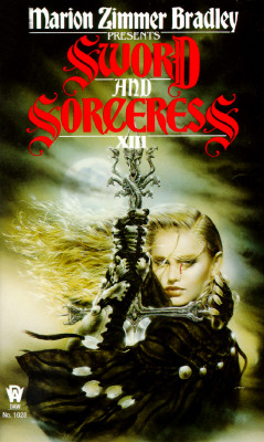 Image for Sword and sorceress xiii