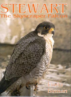 Stewart the Skyscraper Falcon