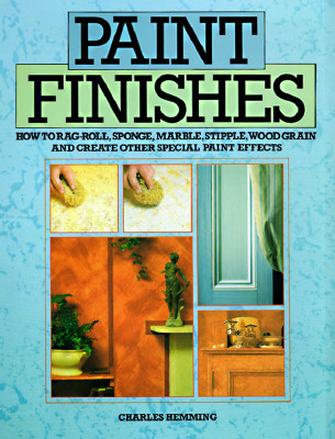 Image for PAINT FINISHES