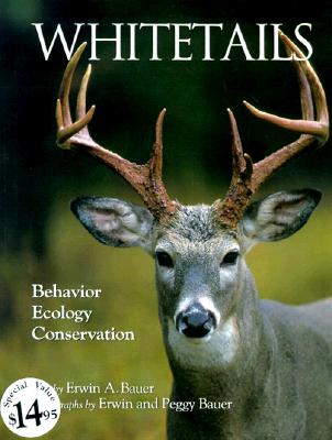 Image for Whitetails: Behavior, Ecology, Conservation