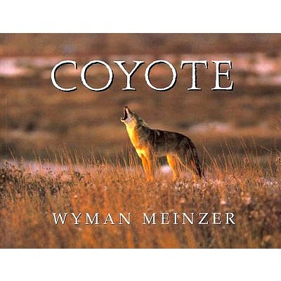 Coyote (Southeast Asia Series; 95)