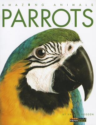 Image for Amazing Animals: Parrots Amazing Animals: Parrots
