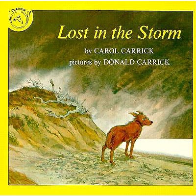 Lost in the Storm